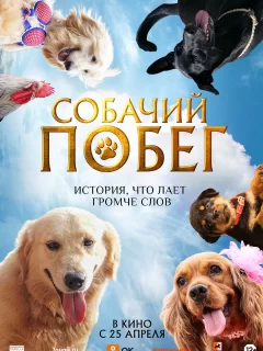 Собачий побег