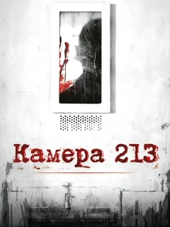 Камера 213