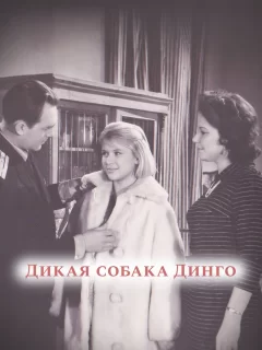 Дикая собака динго