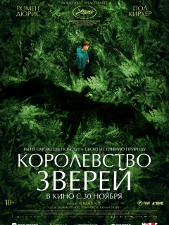 Королевство зверей