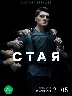 Стая