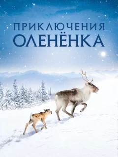 Приключения оленёнка