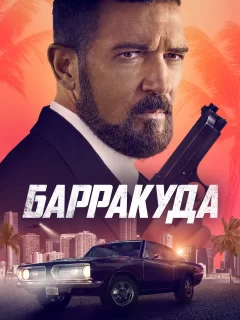 Барракуда