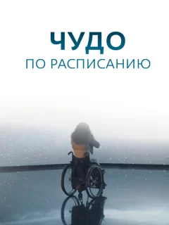 Чудо по расписанию